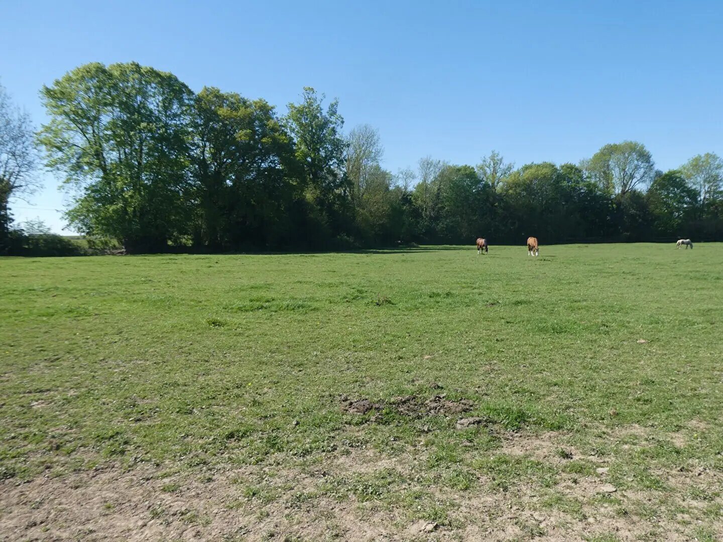 Maison à vendre, 245m², Lisieux