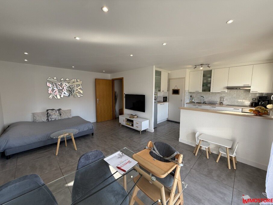 Appartement à louer, 51m², Hésingue