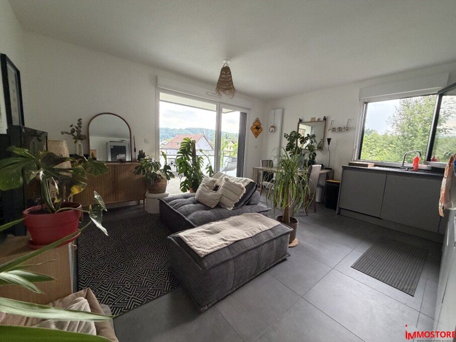 Appartement à louer, 46m², Hagenthal-le-Haut