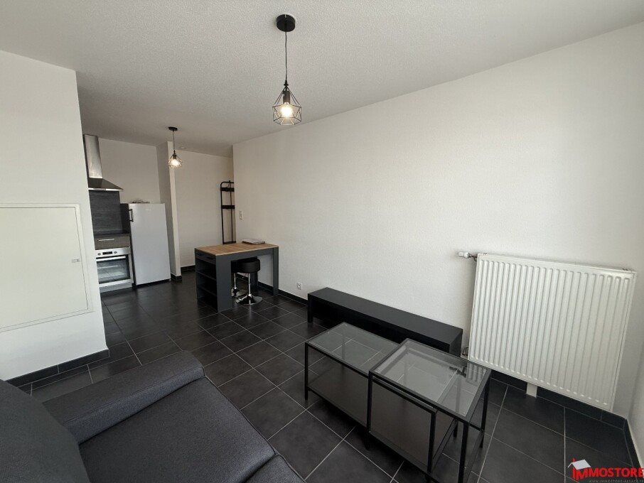Appartement à louer, 39m², Roubaix