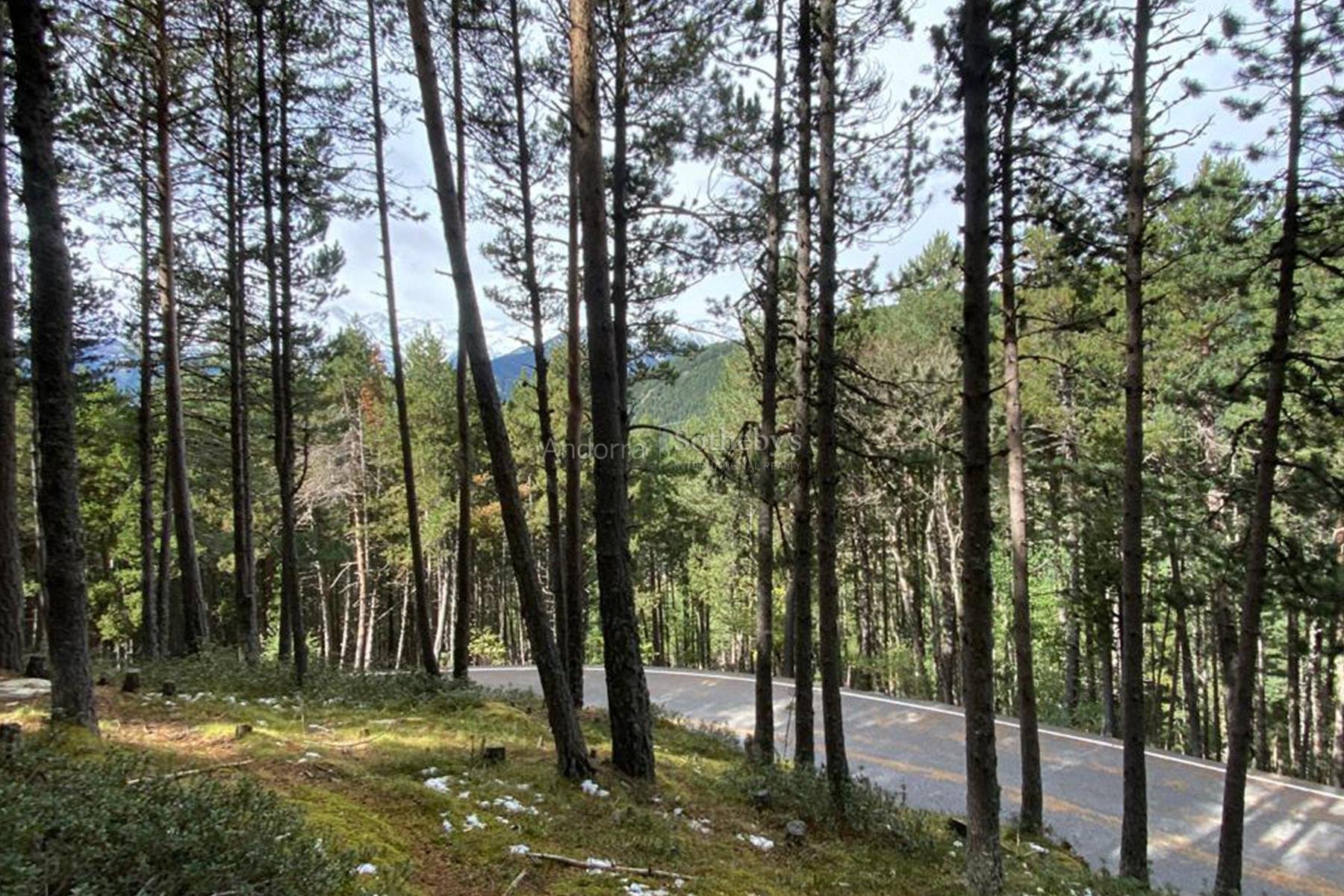 Land for sale in Anyós, La Massana · 3 of 3