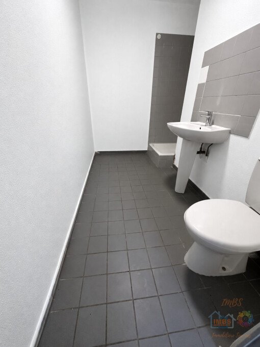 Appartement à louer, 21m², Mulhouse