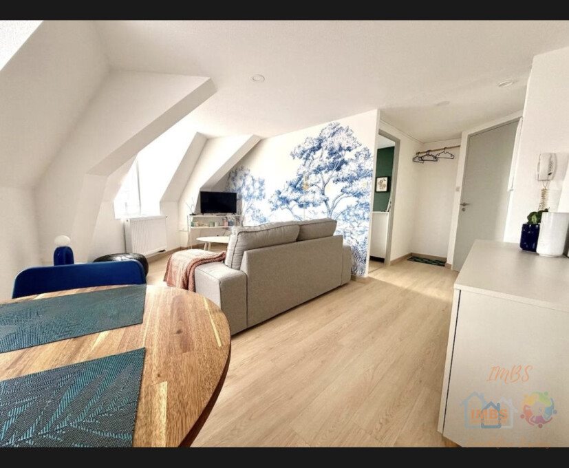 Appartement à louer, 31m², Mulhouse
