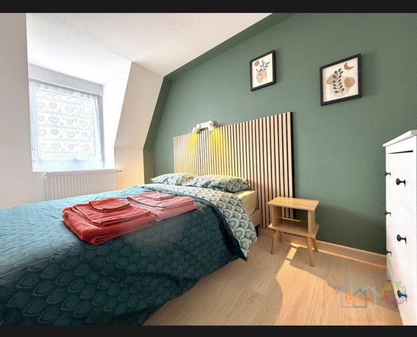 Appartement à louer, 31m², Mulhouse