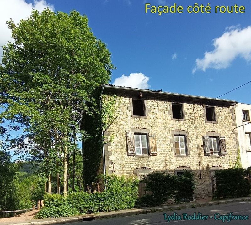Maison à vendre, 281m², Thiers