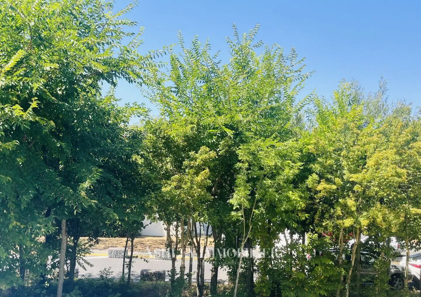 Appartement à vendre, 31m², La Rochelle