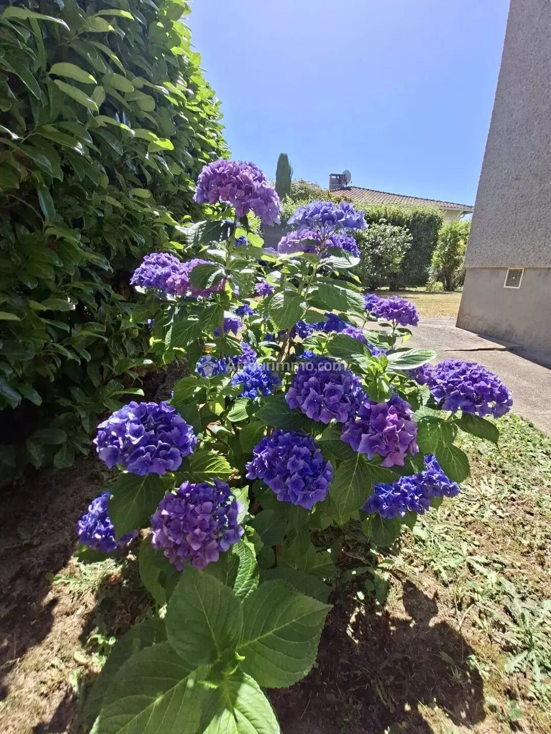 Maison à vendre, 100m², Aussillon