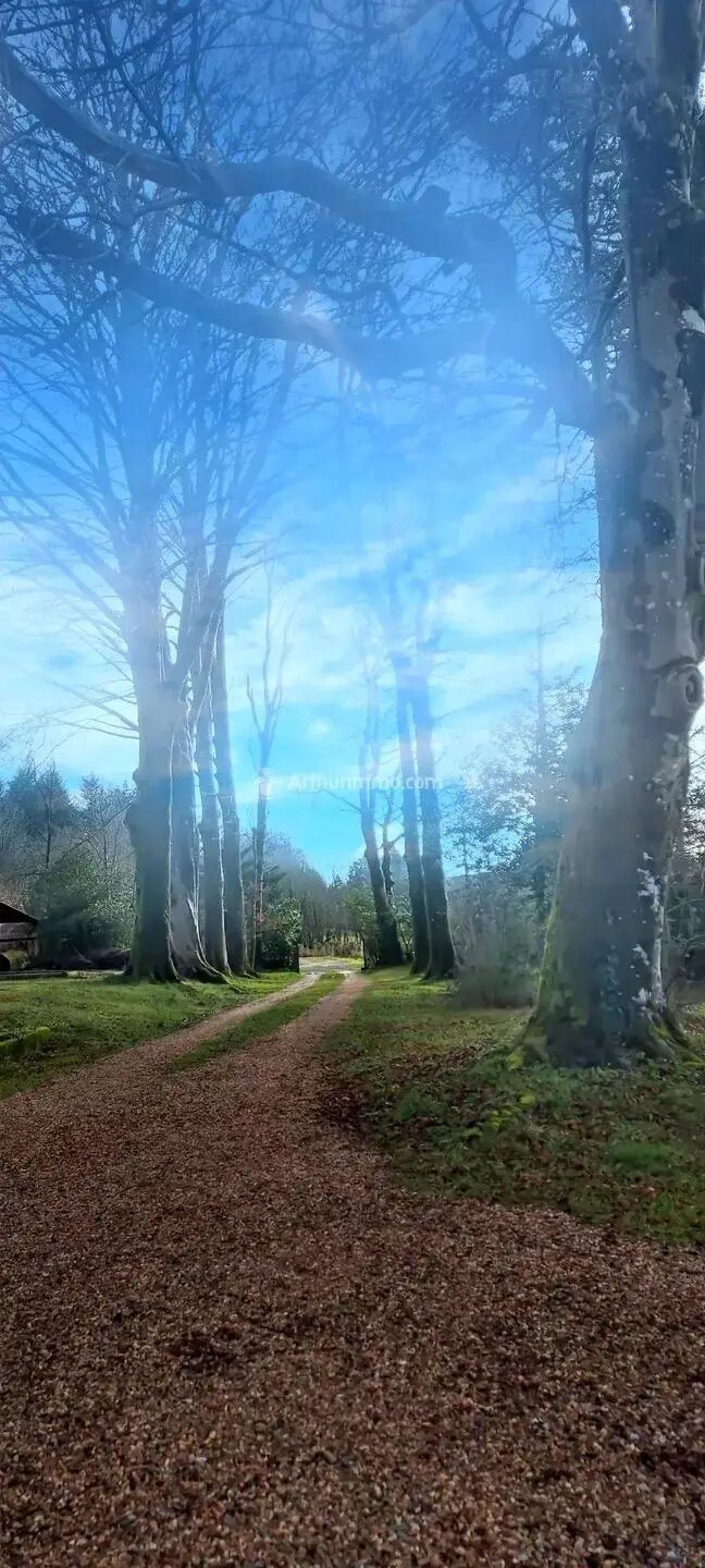 Maison à vendre, 479m², Pont-de-Larn