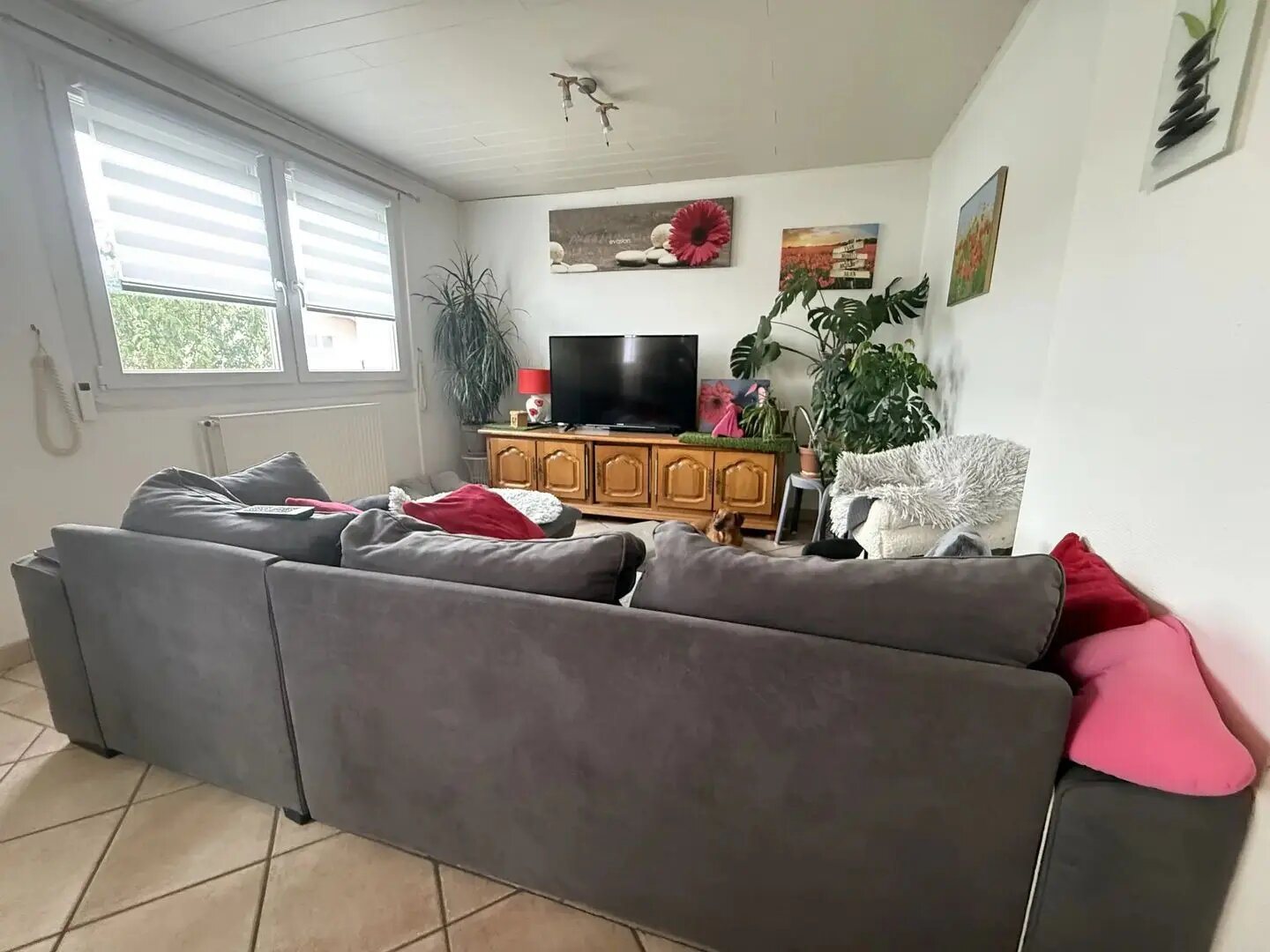 Maison à louer, 81m², Saint-Dié-des-Vosges