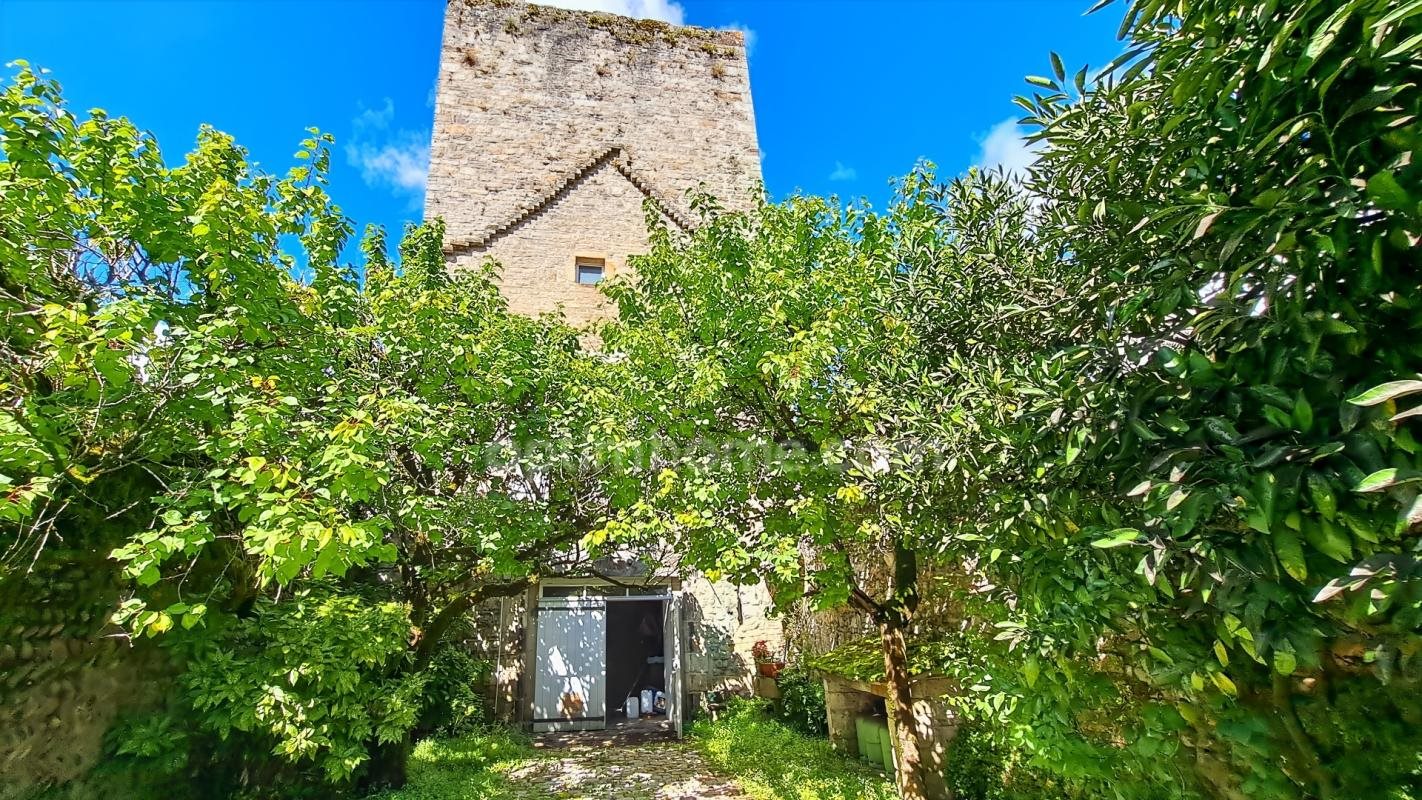 Maison à vendre, 293m², Sauveterre-de-Béarn
