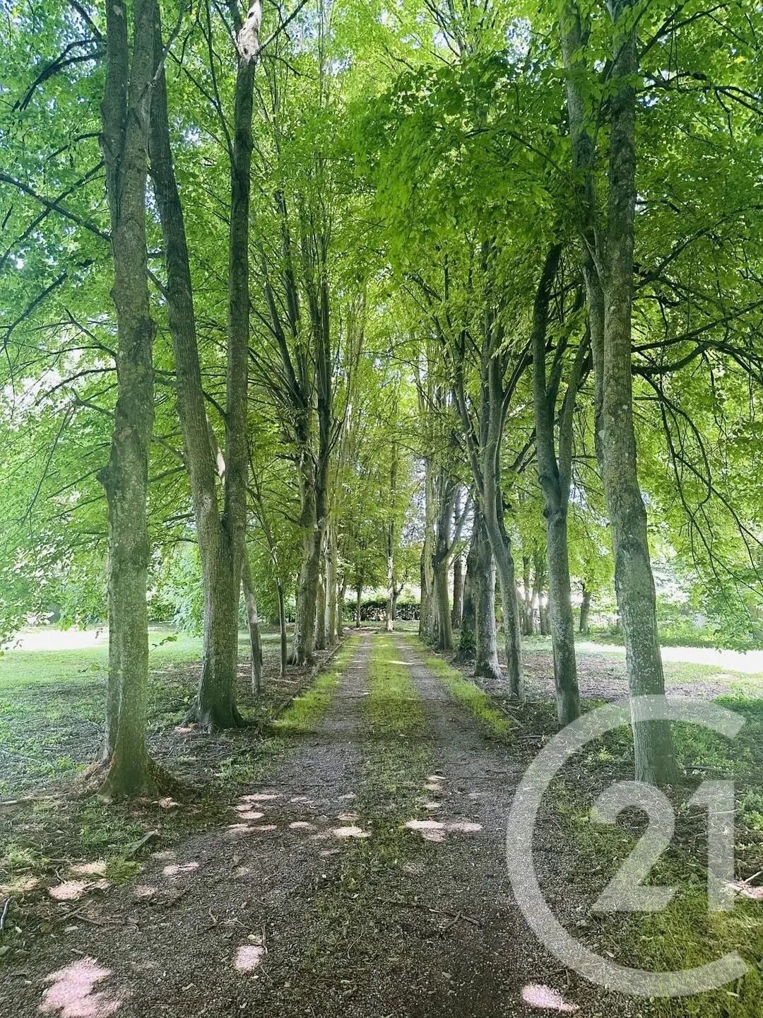 Maison à vendre, 250m², Falaise
