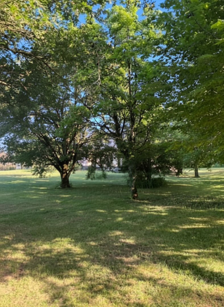 Maison à vendre, 179m², Salles-la-Source