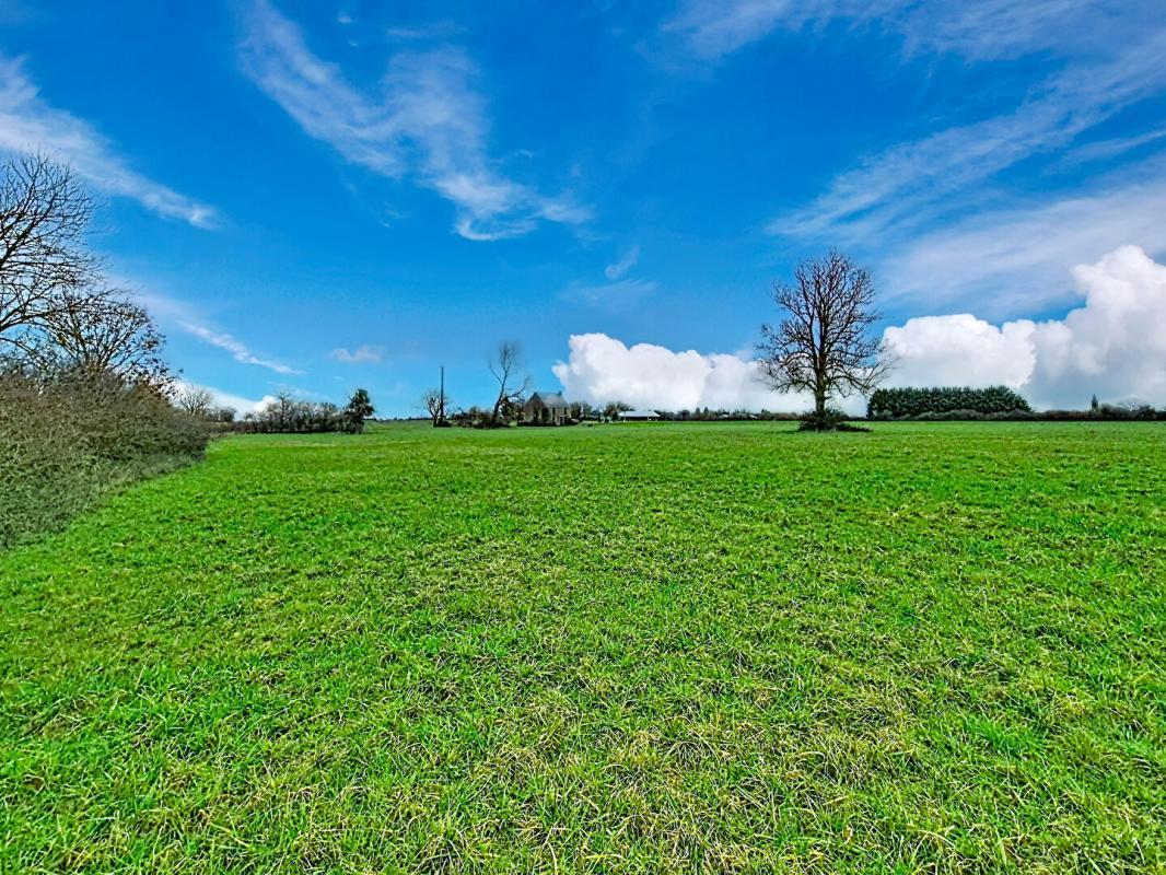 Maison à vendre, 120m², Cornusse