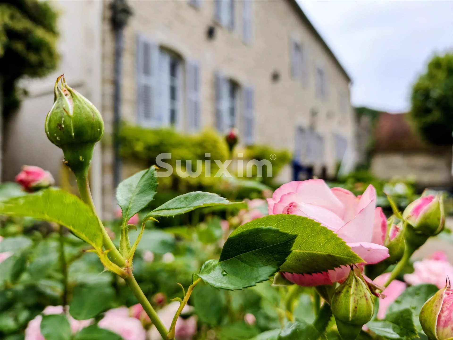 Maison à vendre, 380m², Beaune