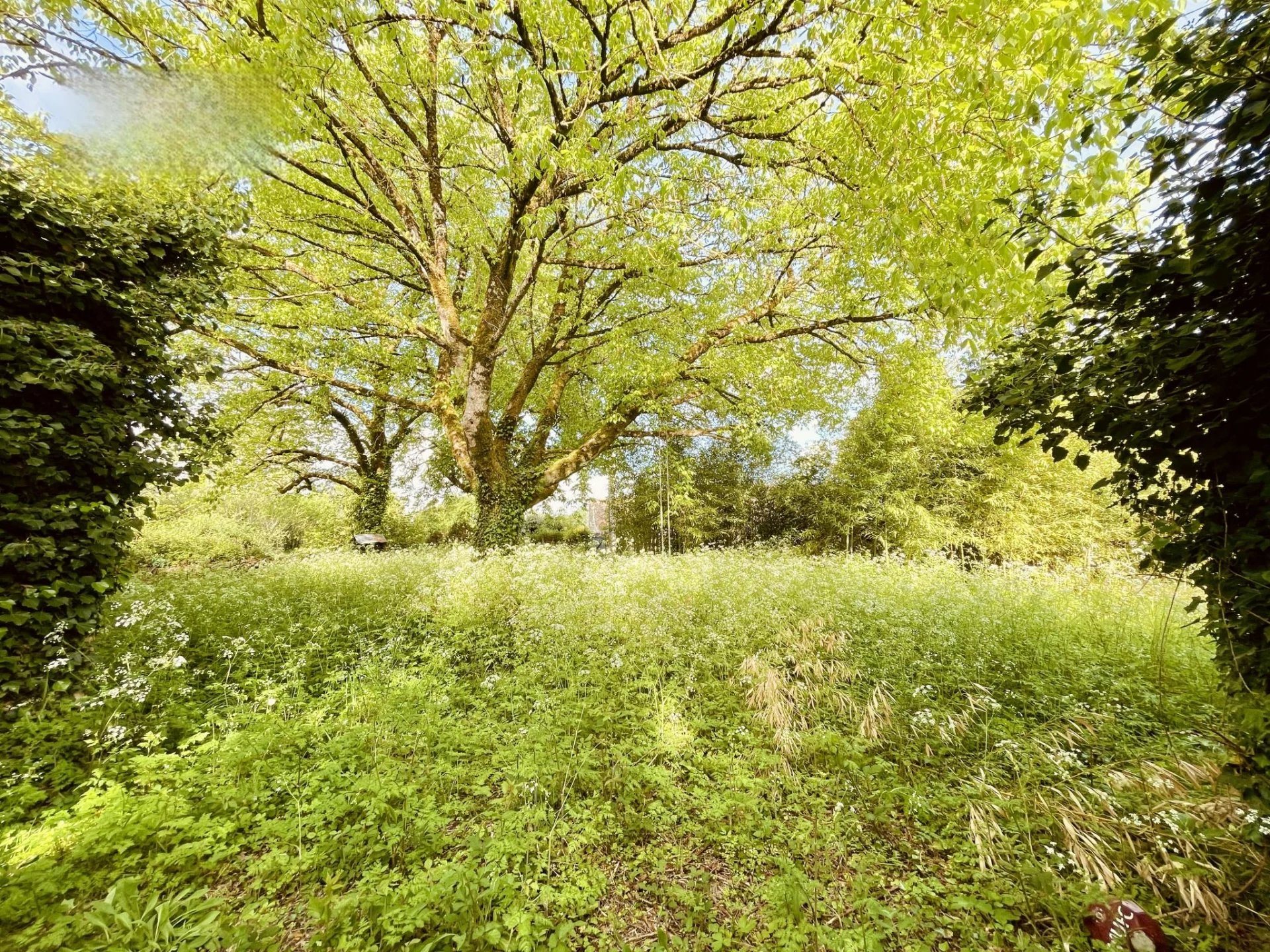 Maison à vendre, 154m², Pleuville