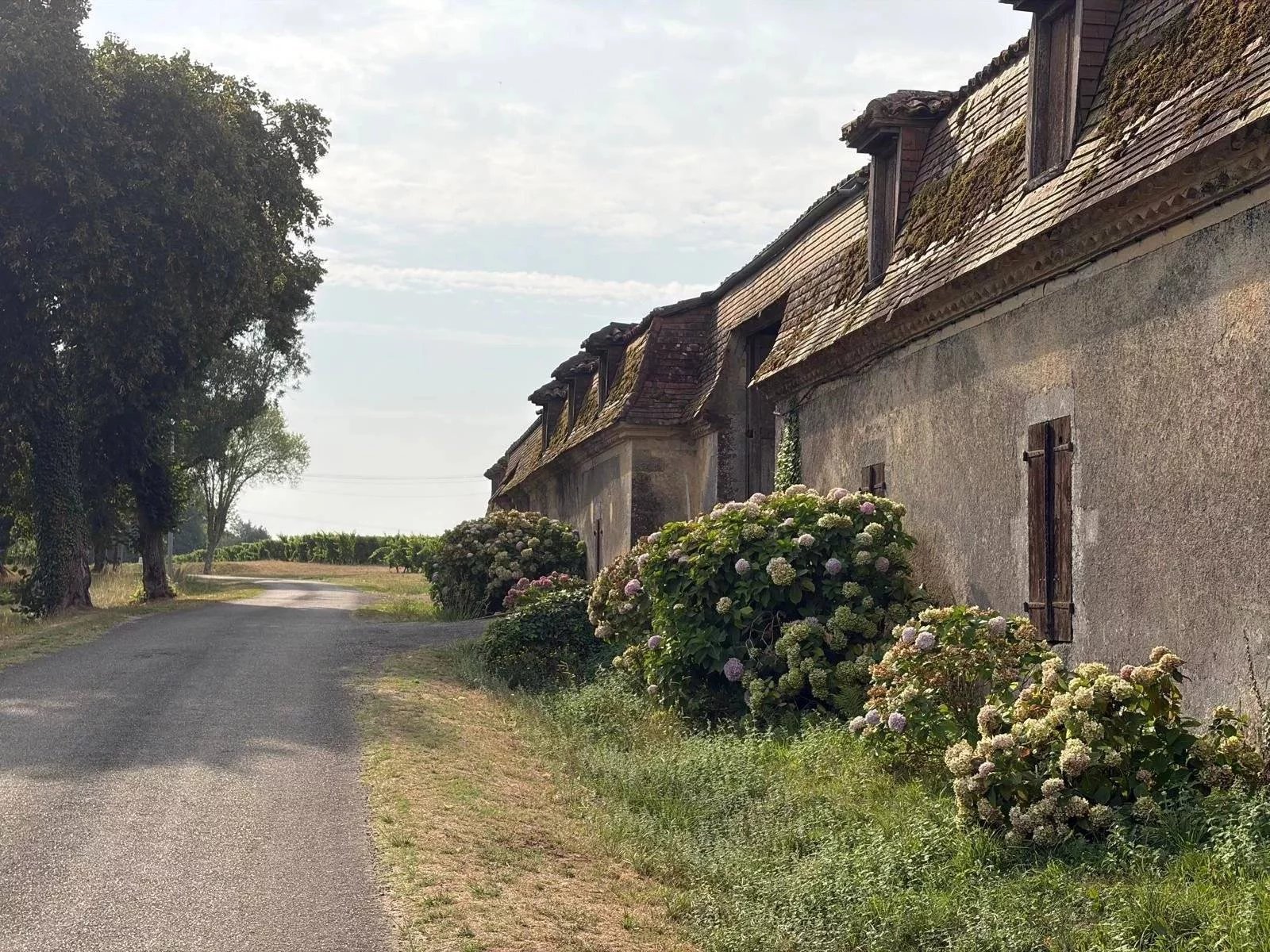 Maison à vendre, 217m², Salles-d'Armagnac