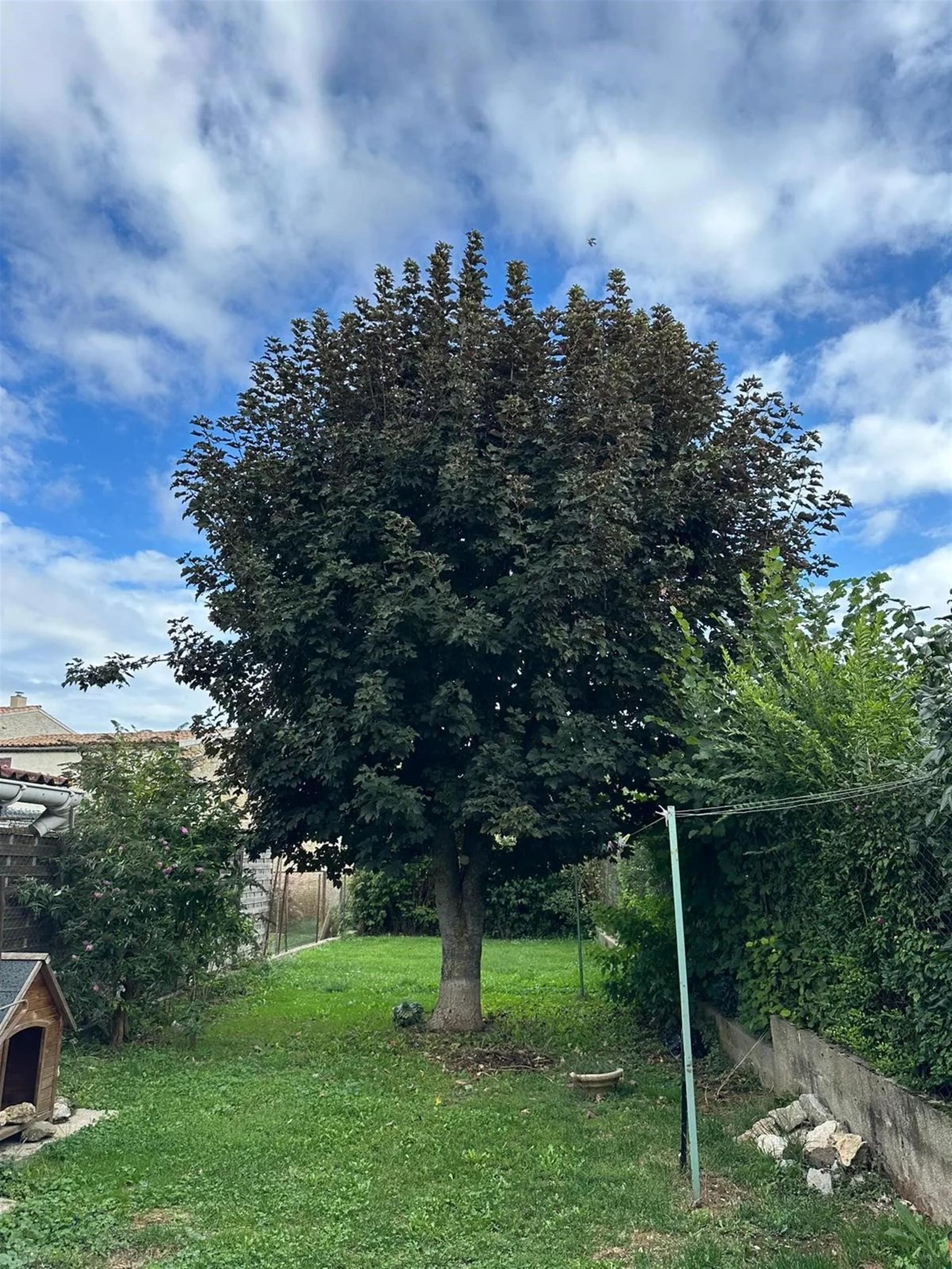 Maison à vendre, 109m², Belcaire