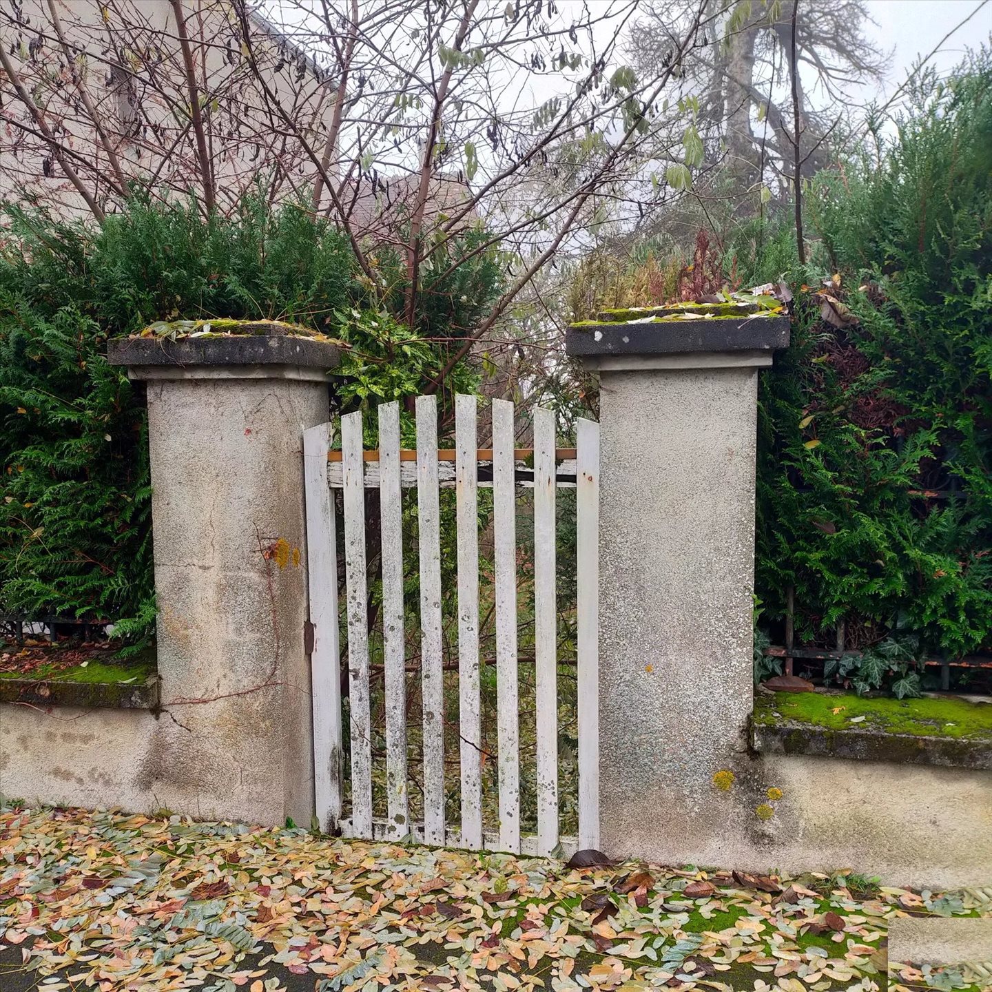 Maison à vendre, 130m², Sainte-Sévère-sur-Indre