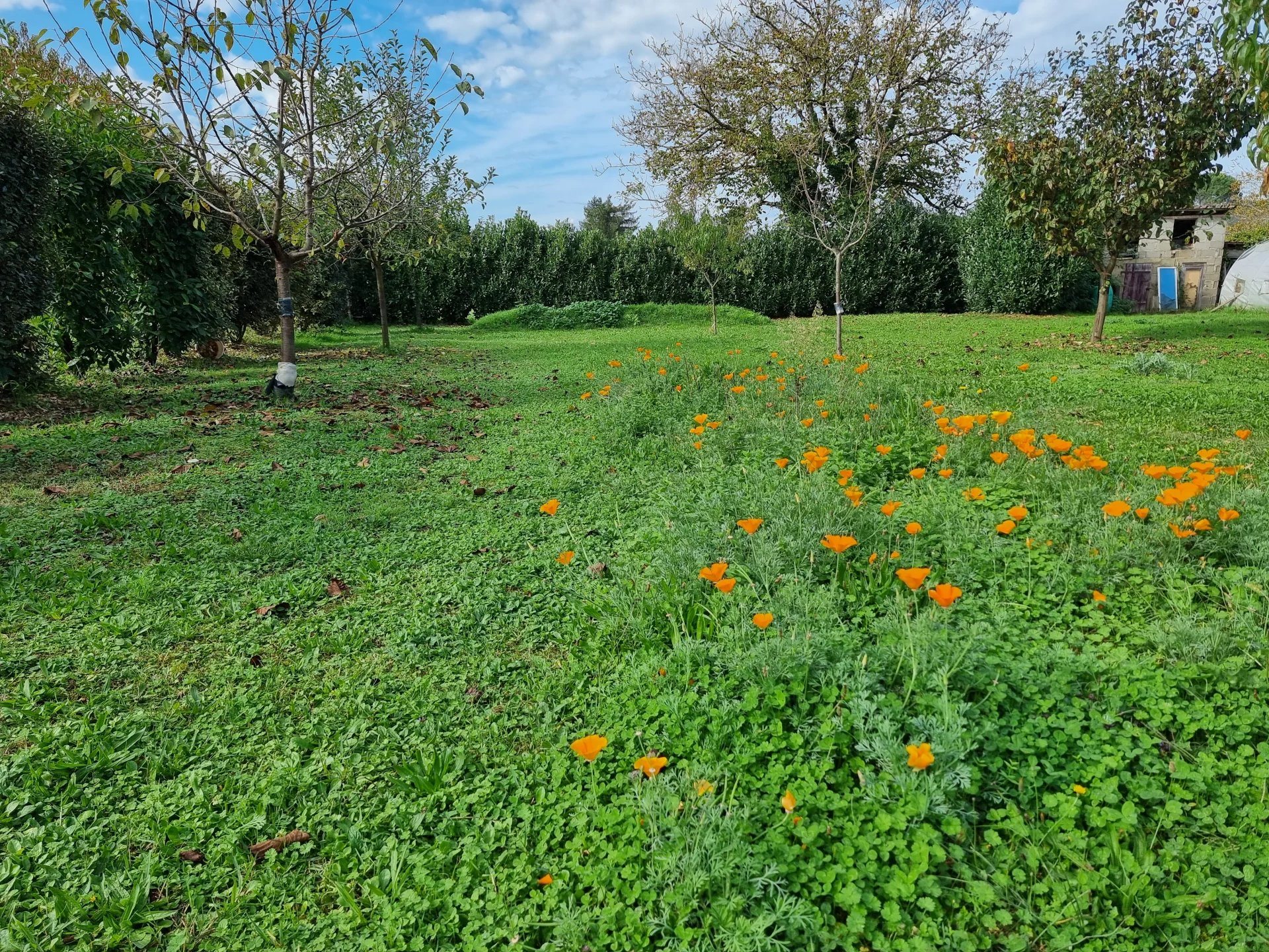 Maison à vendre, 103m², Prayssac