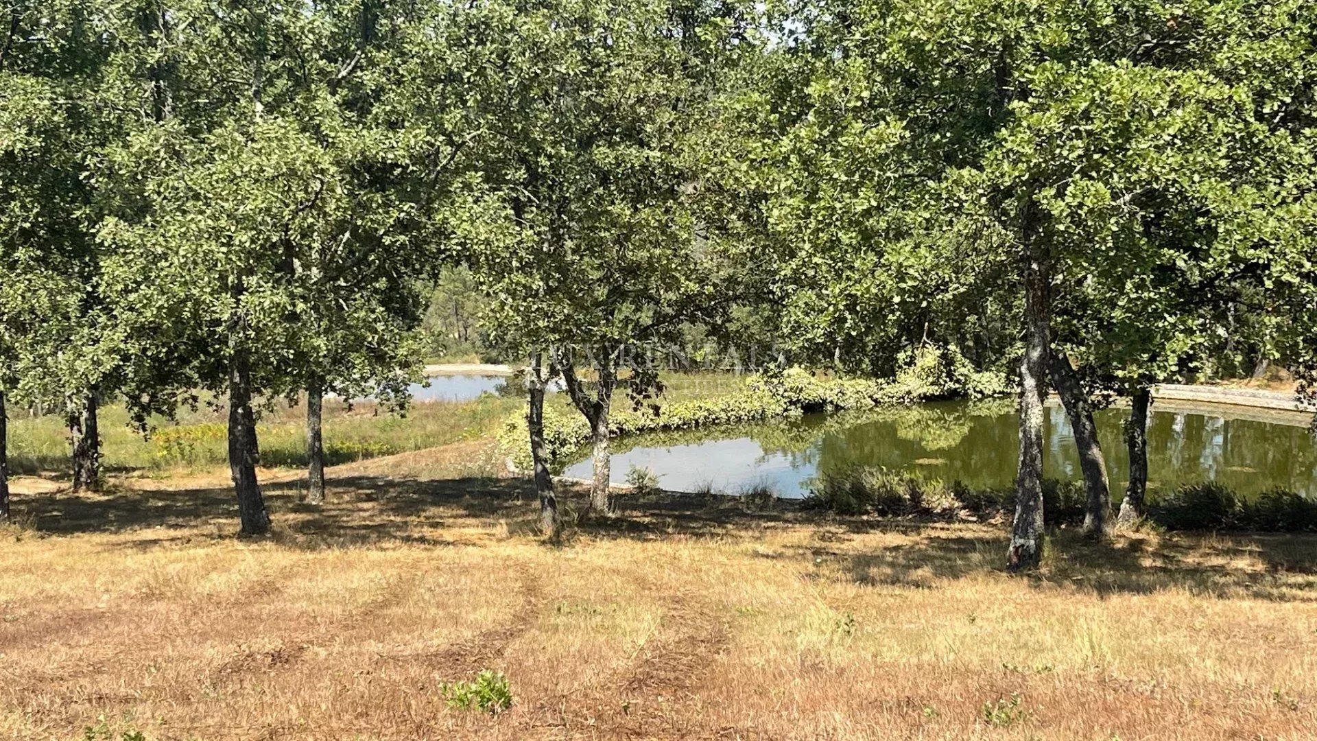 Maison à vendre, 180m², Bagnols-en-Forêt