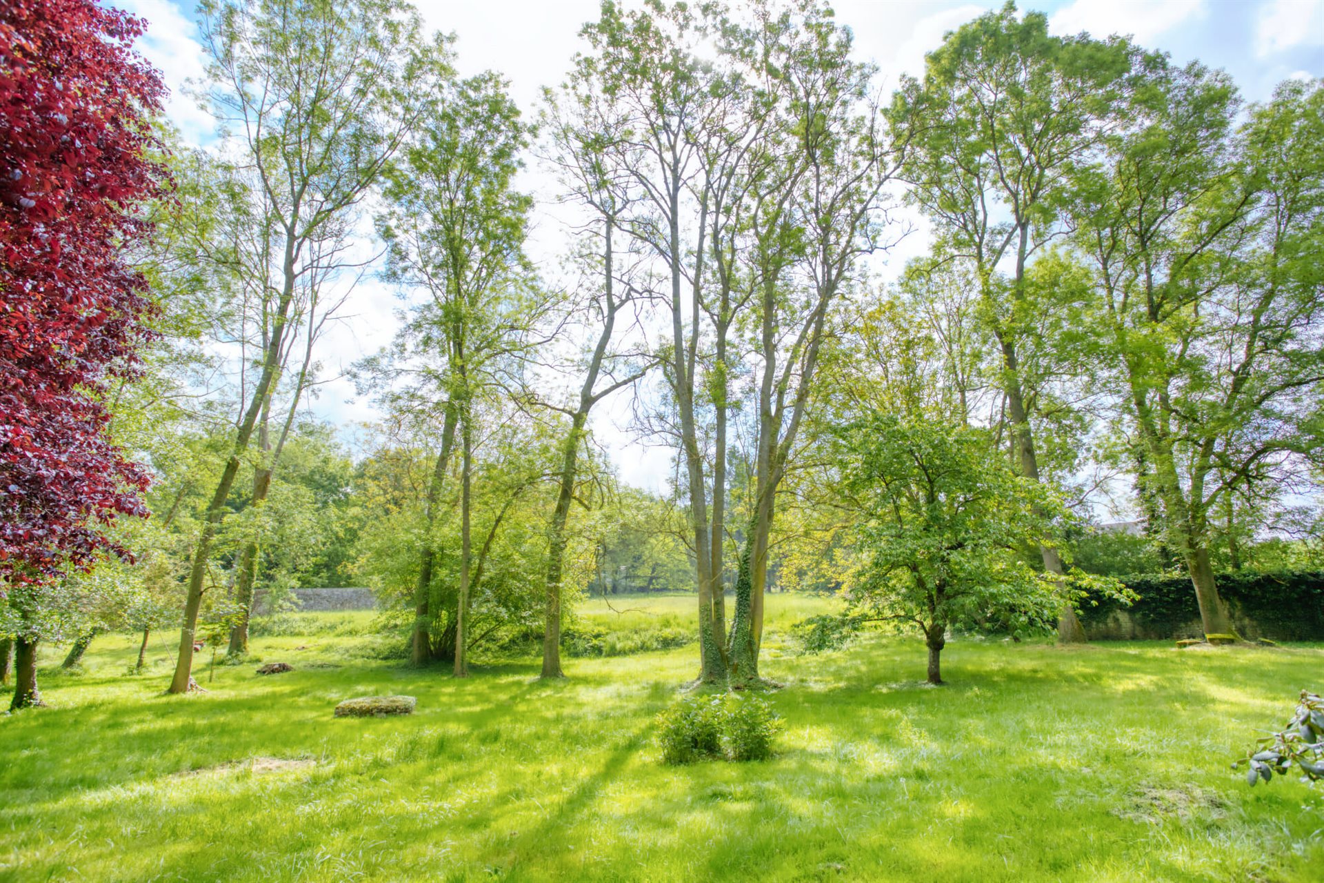 Maison à vendre, 651m², Château-Landon