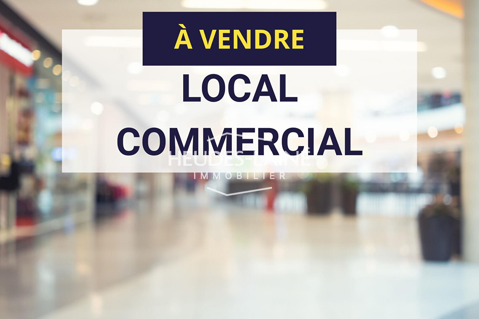 Maison à vendre, 500m², Avranches
