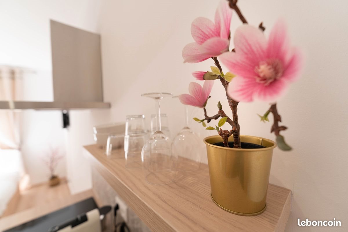 Appartement à louer, 15m², Nice