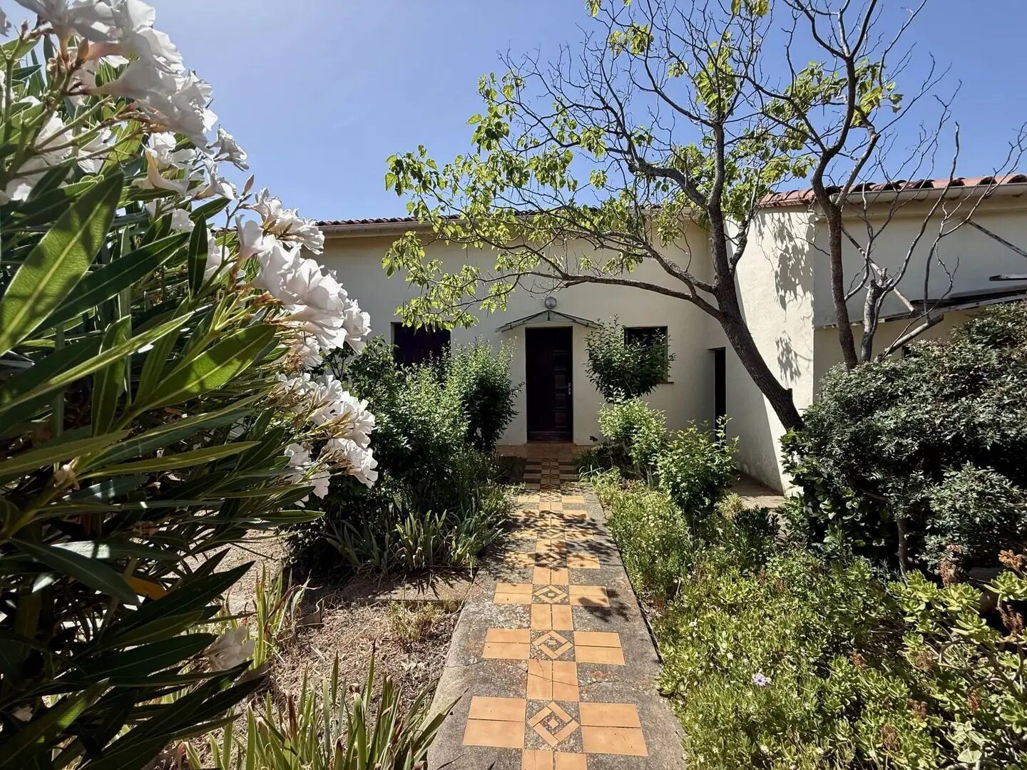 Maison à vendre, 242m², Caves
