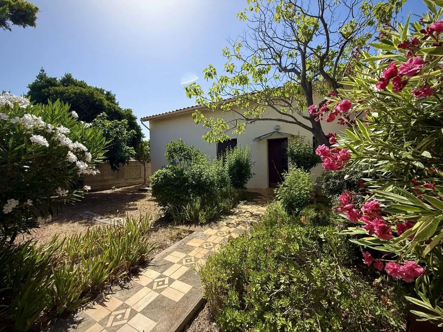 Maison à vendre, 242m², Caves