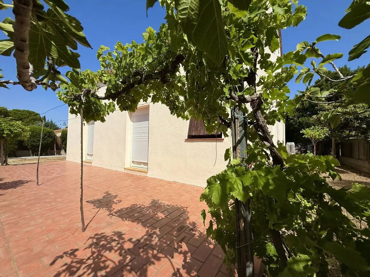 Maison à vendre, 242m², Caves
