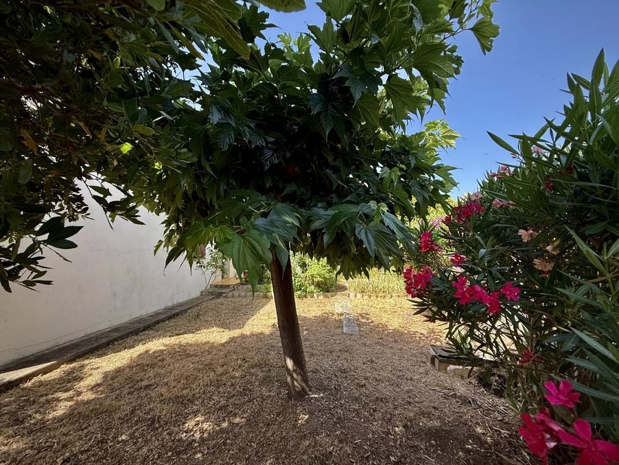 Maison à vendre, 92m², Caves