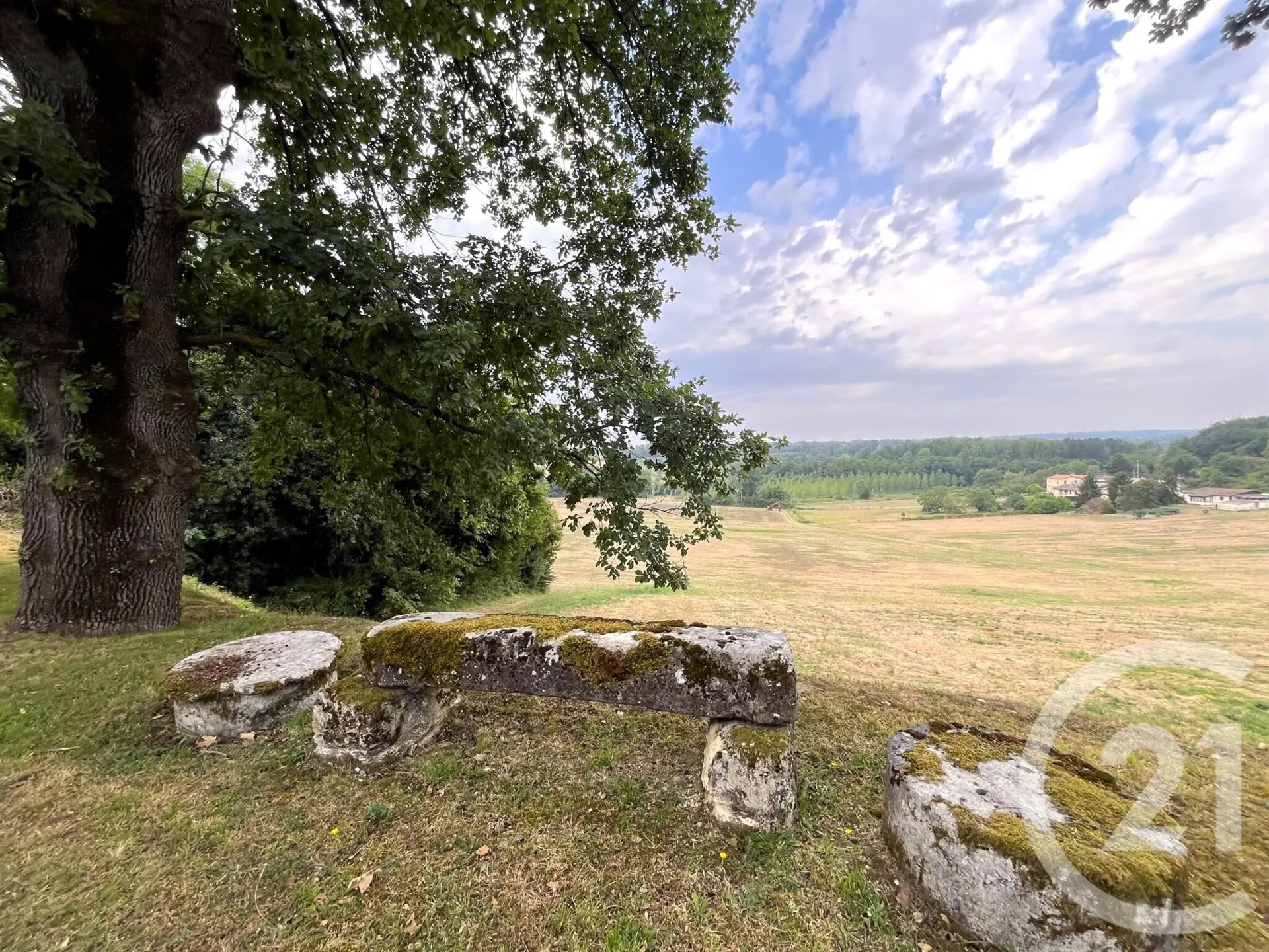 Maison à vendre, 392m², Saint-Quentin-de-Baron