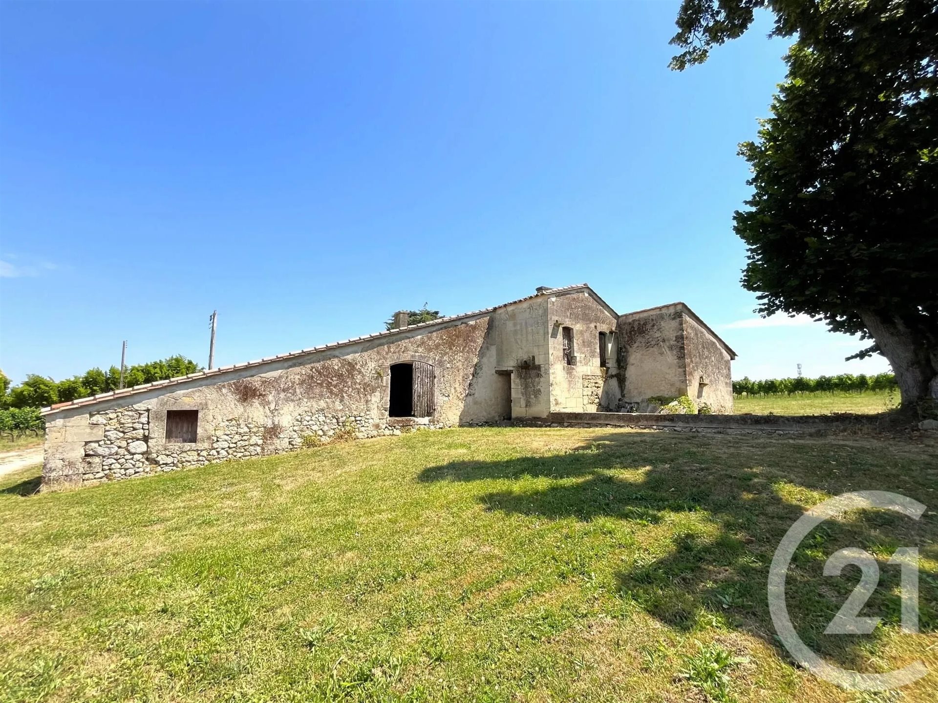 Maison à vendre, 376m², Saint-Quentin-de-Baron
