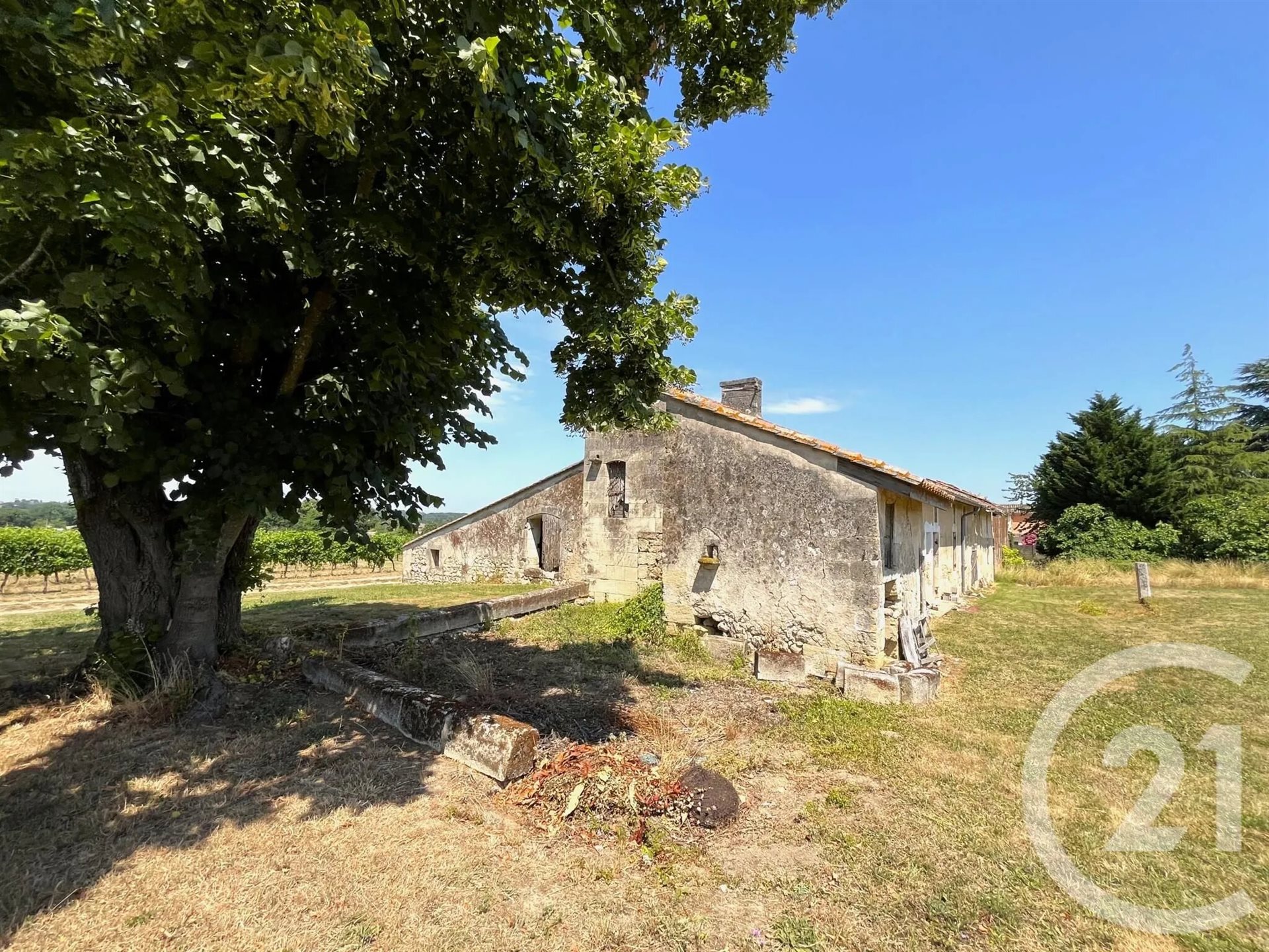 Maison à vendre, 376m², Saint-Quentin-de-Baron