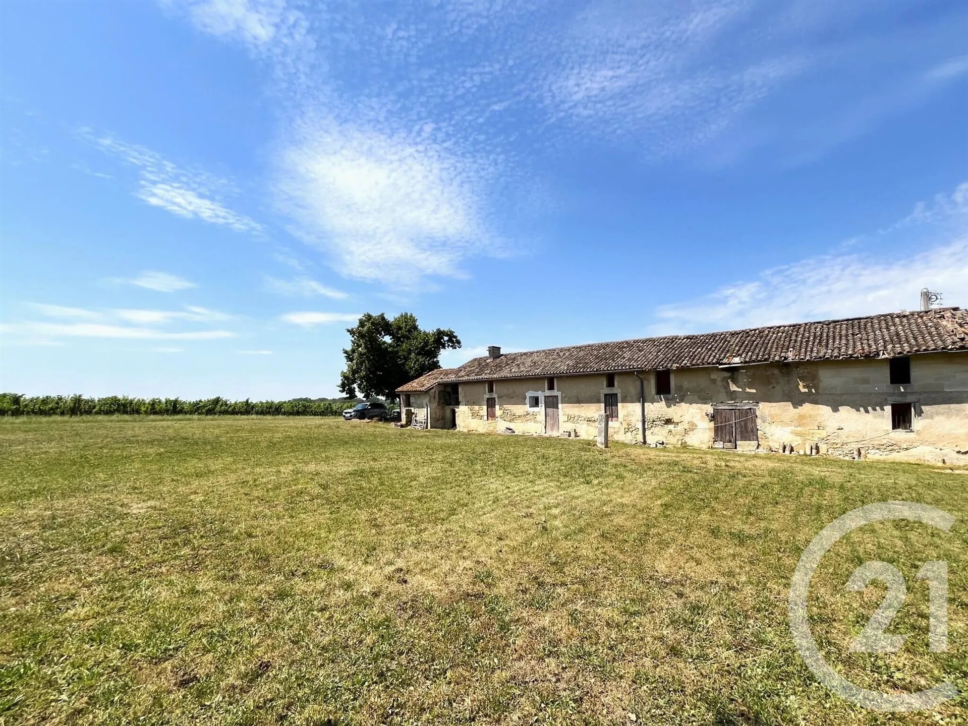 Maison à vendre, 376m², Saint-Quentin-de-Baron