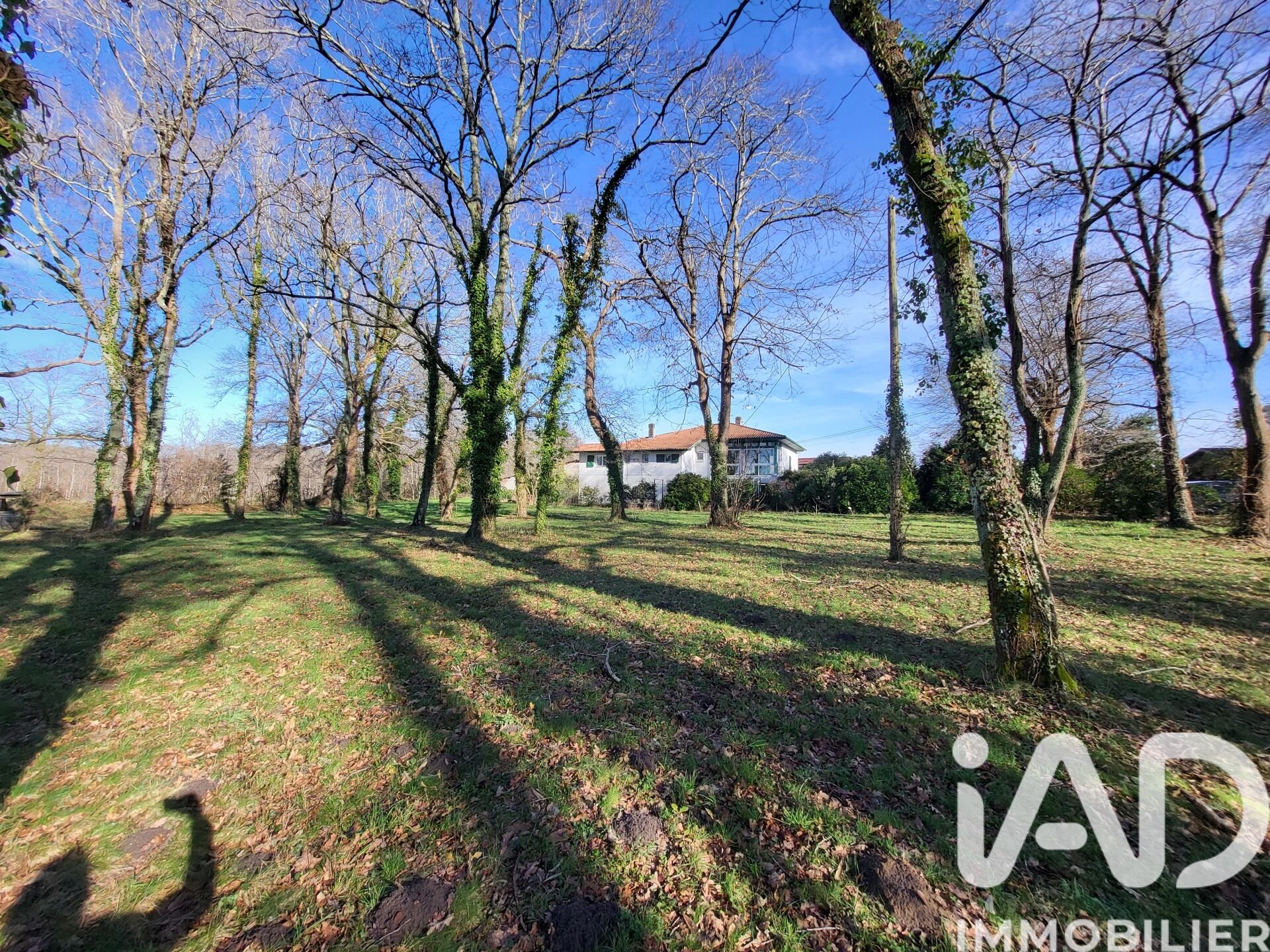 Maison à vendre, 260m², Saubrigues
