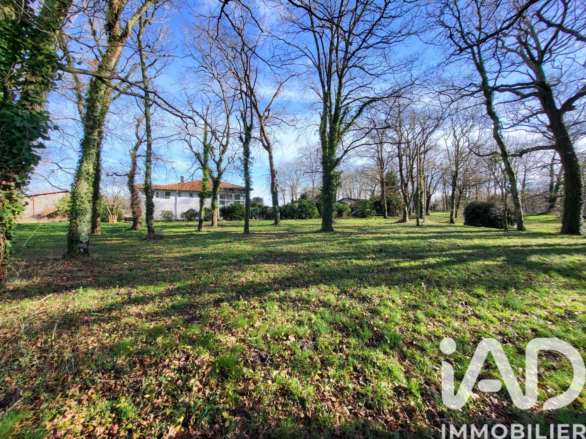 Maison à vendre, 260m², Saubrigues