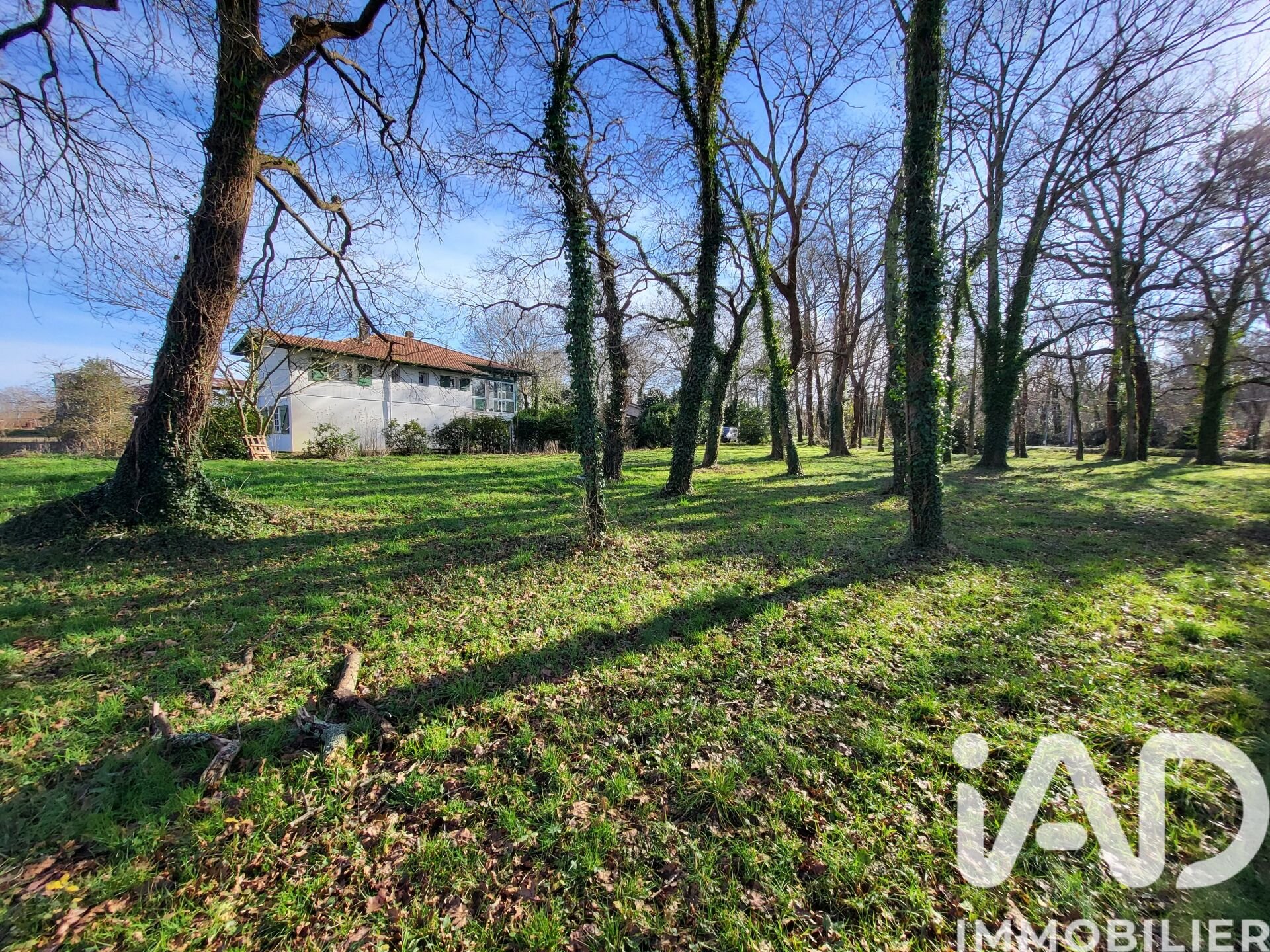 Maison à vendre, 260m², Saubrigues