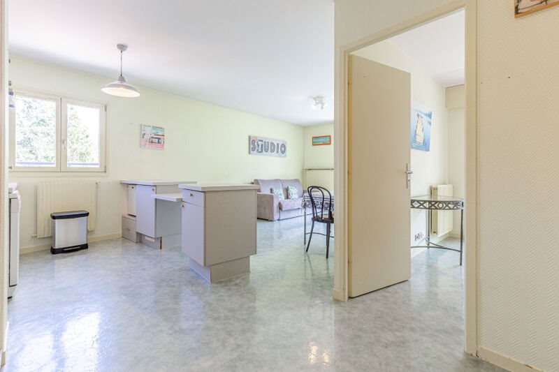 Appartement à vendre, 42m², Annecy