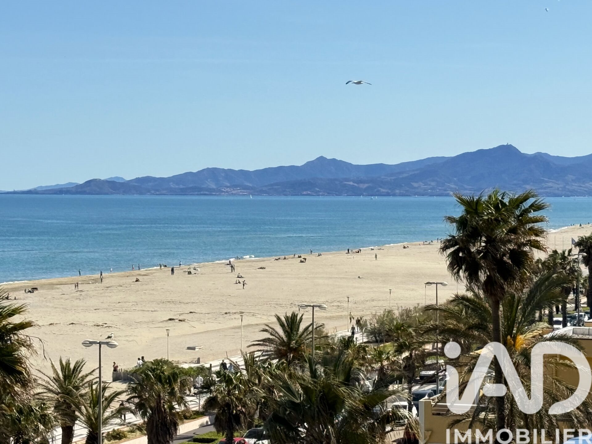 Appartement à vendre, 35m², Canet-en-Roussillon
