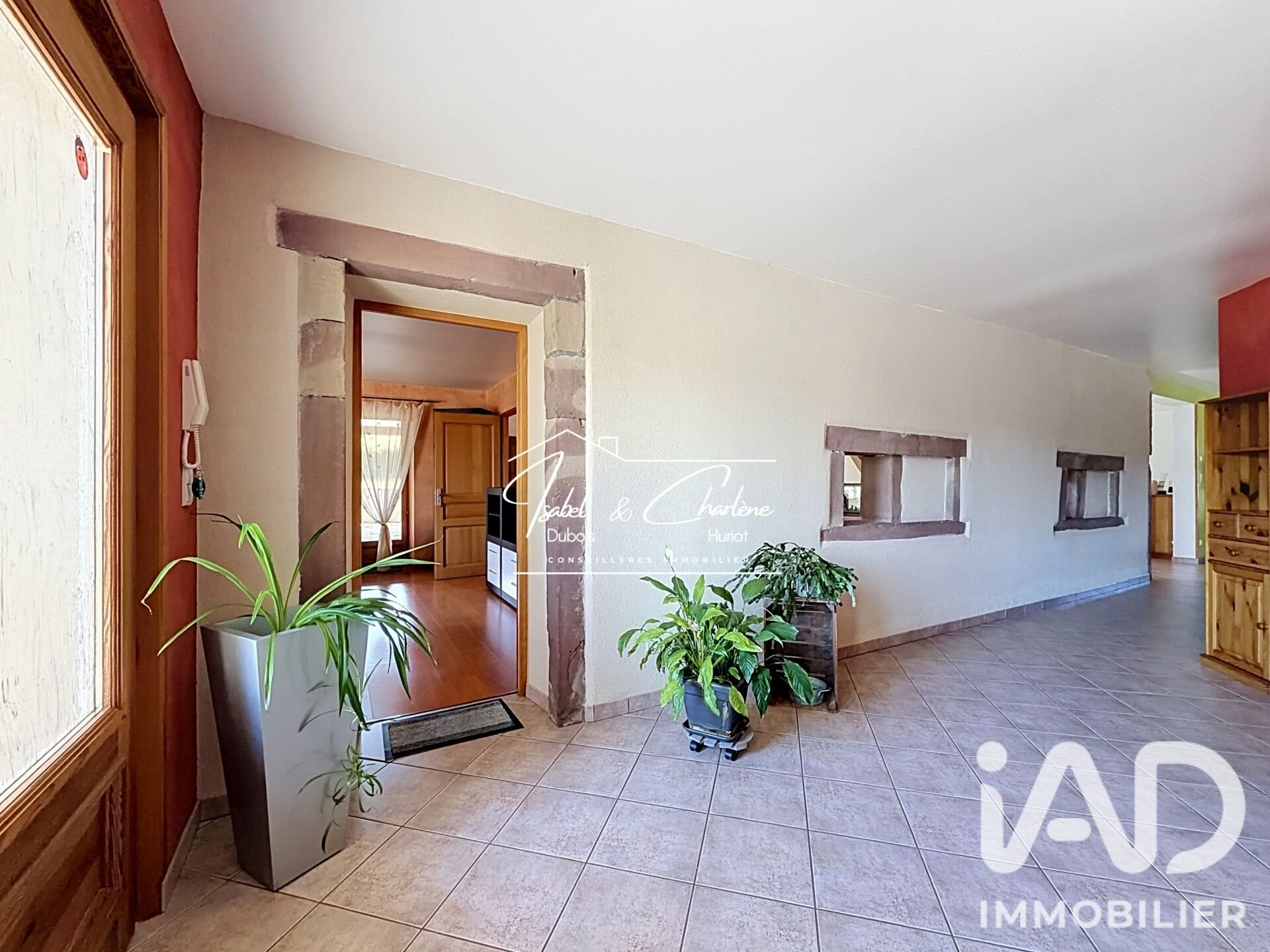 Maison à vendre, 227m², Ville-sur-Illon