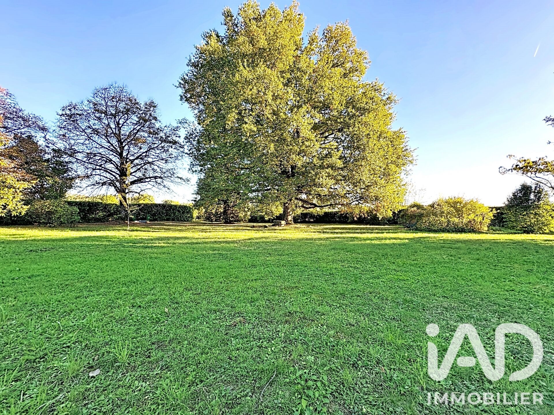 Maison à vendre, 228m², Terrasson-Lavilledieu