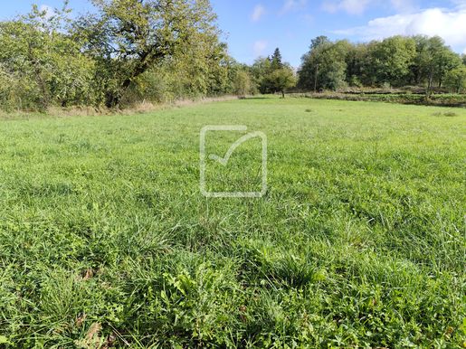 Terrain 3603 m² · à Chartrier-Ferrière · 31 000 €