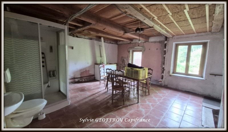 Maison à vendre, 240m², Celles-sur-Plaine