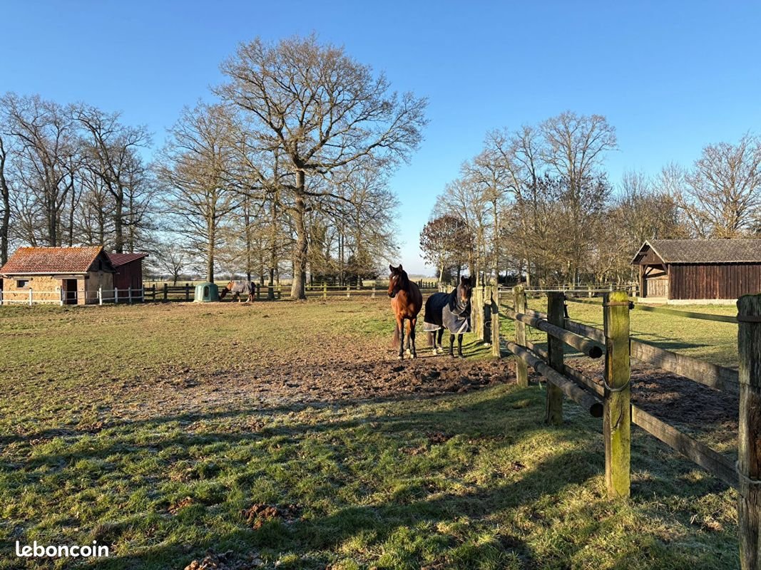 Maison à vendre, 150m², Chavigny-Bailleul