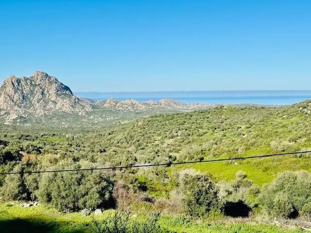 Maison à vendre, 239m², Saint-Florent