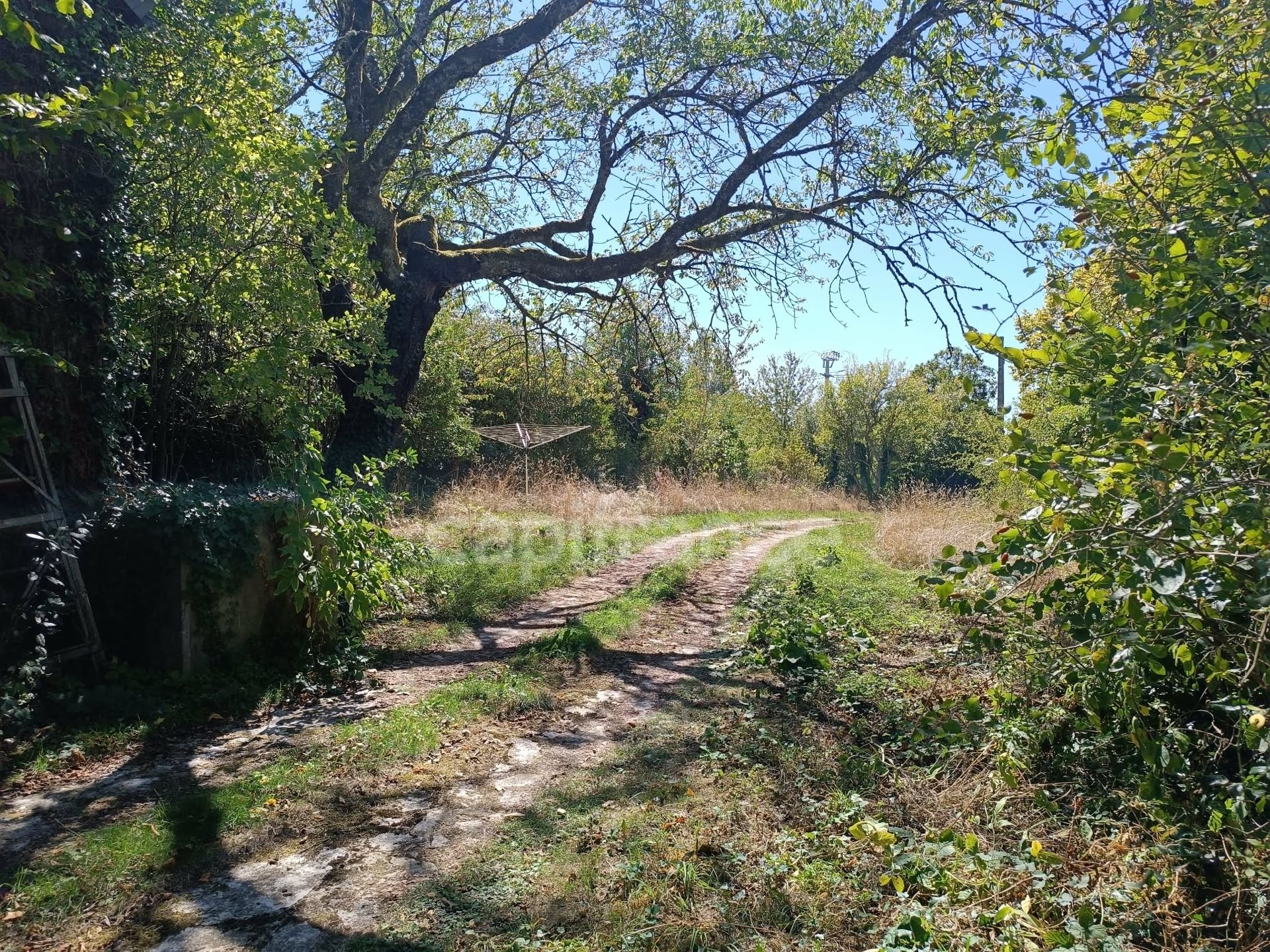 Maison à vendre, 100m², Arces-Dilo