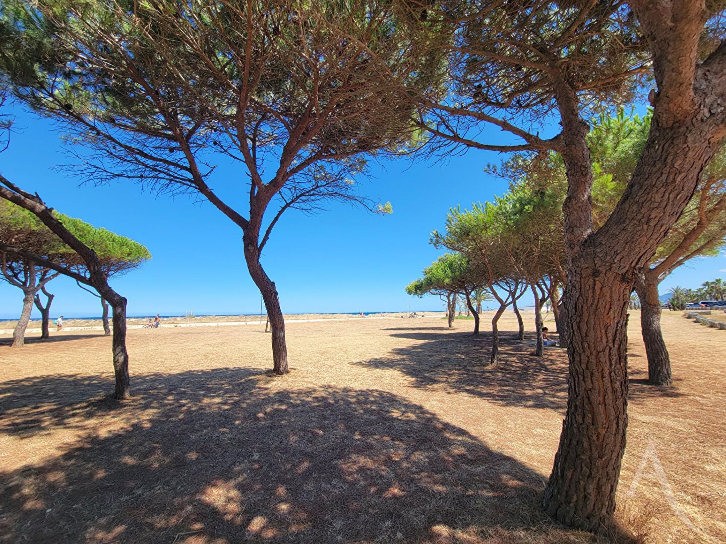 Appartement à vendre, 45m², Saint-Cyprien