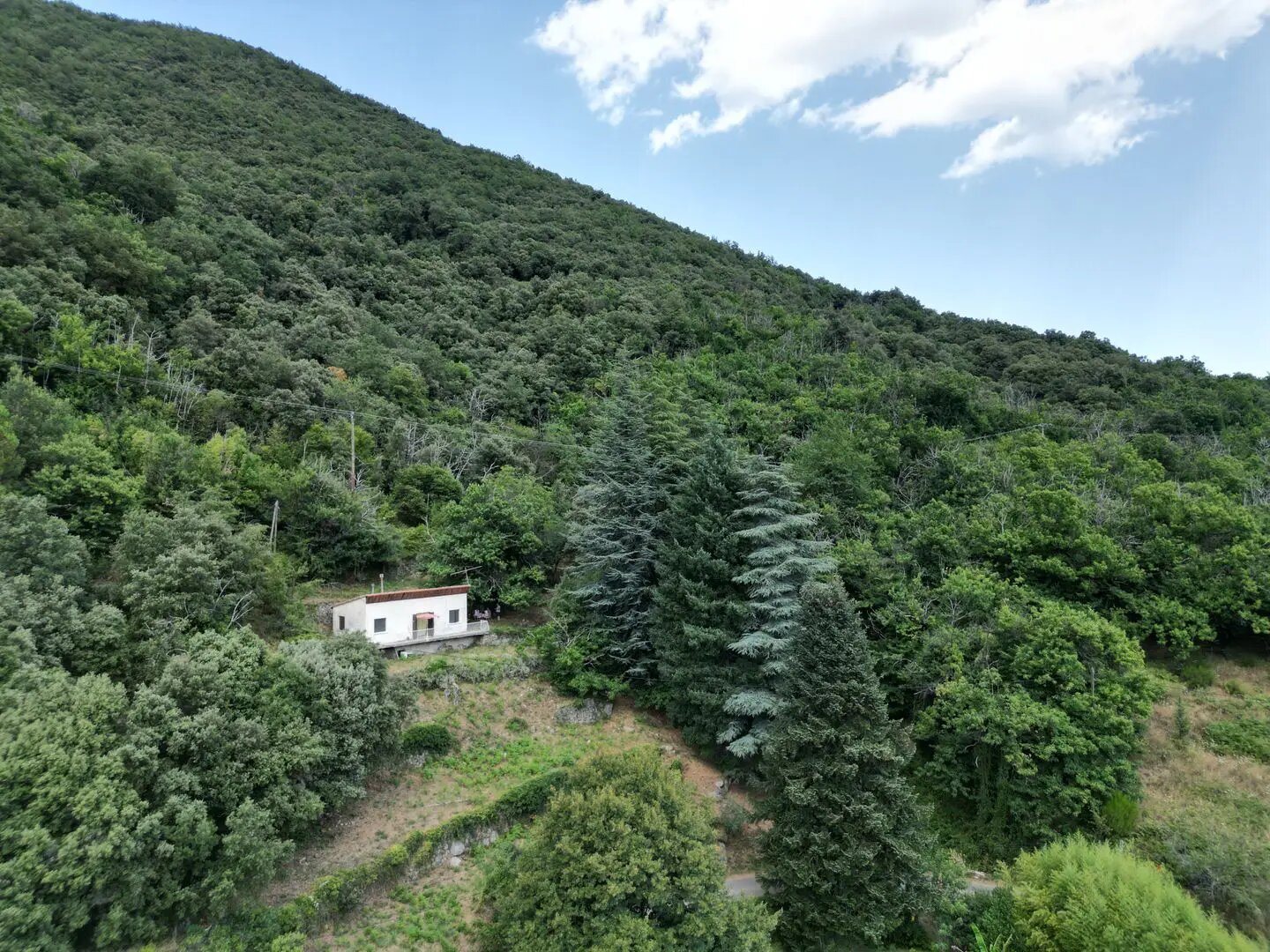 Maison à vendre, 42m², Saint-Roman-de-Codières
