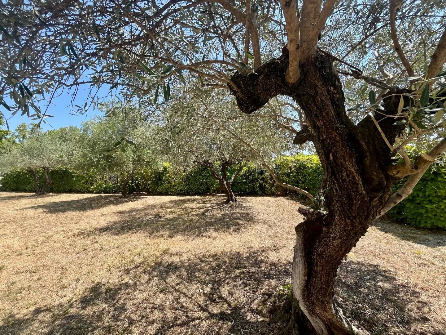 Maison à vendre, 110m², Saint-Hippolyte-du-Fort